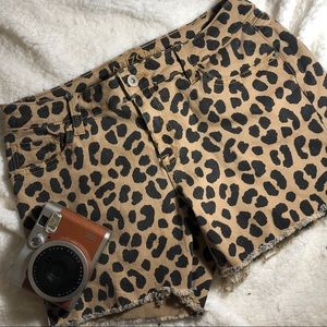 Arizona Jean Co. Leopard Jean Shorts